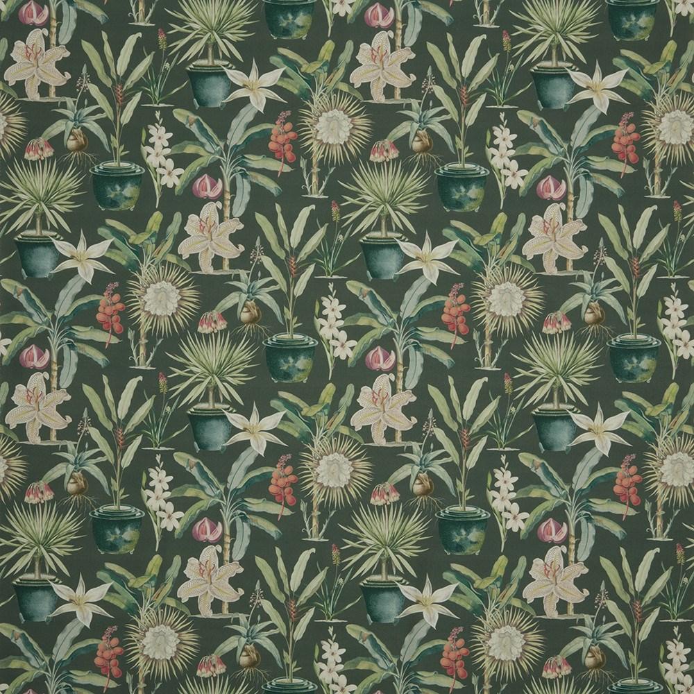 Pine - Atrium By ILIV || In Stitches Soft Furnishings Pine - Atrium By ILIV || In Stitches Soft Furnishings