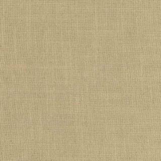 Tahini - Lexus By Warwick || In Stitches Soft Furnishings Tahini - Lexus By Warwick || In Stitches Soft Furnishings