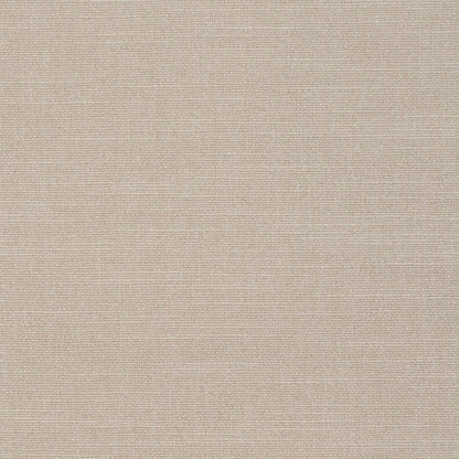 Shell - Banksia By Mokum || In Stitches Soft Furnishings