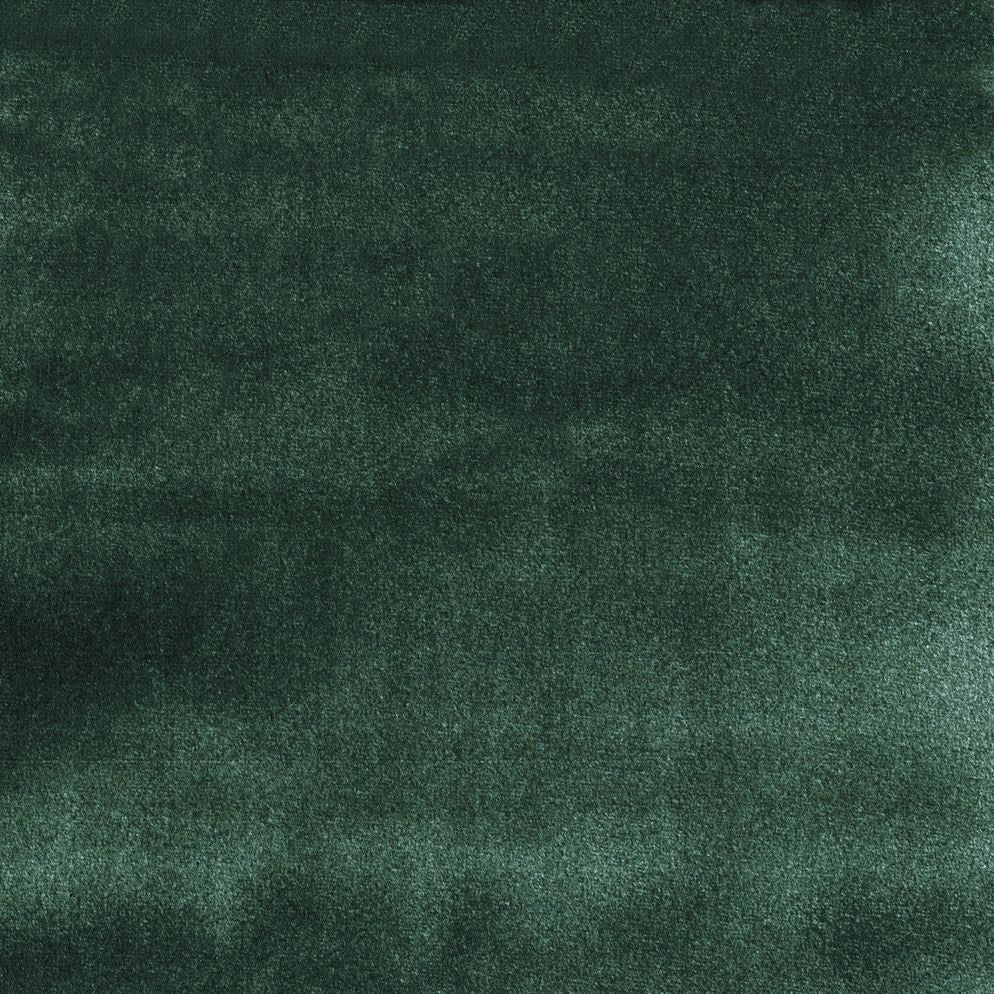 Forest - Casimir By Warwick || In Stitches Soft Furnishings