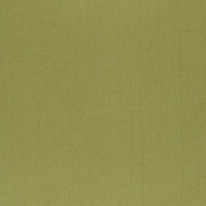 Turtle - Sateen 137 (South Face) By Zepel || In Stitches Soft Furnishings