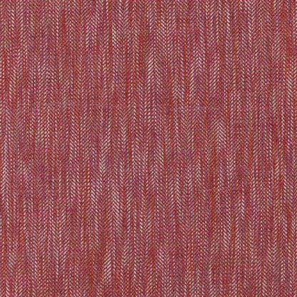 Magenta - Avalon By Zepel || In Stitches Soft Furnishings