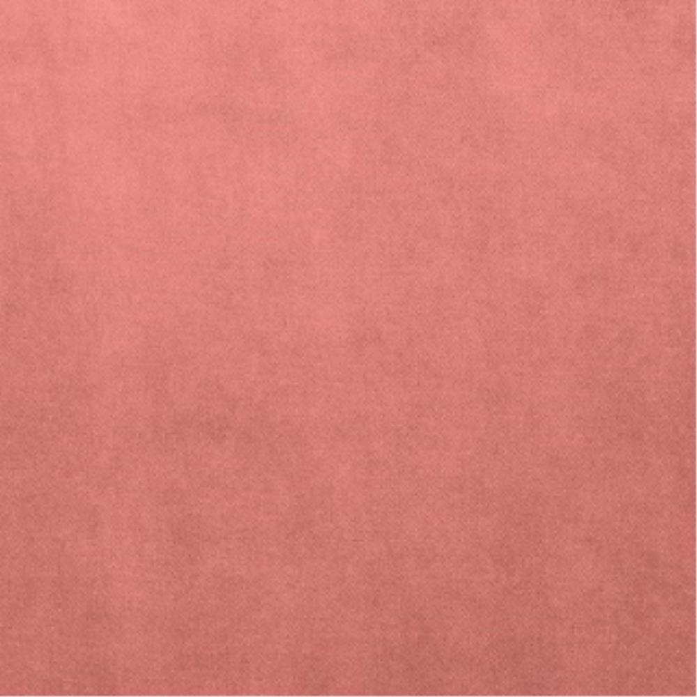 Blush - Cleo By Warwick || In Stitches Soft Furnishings