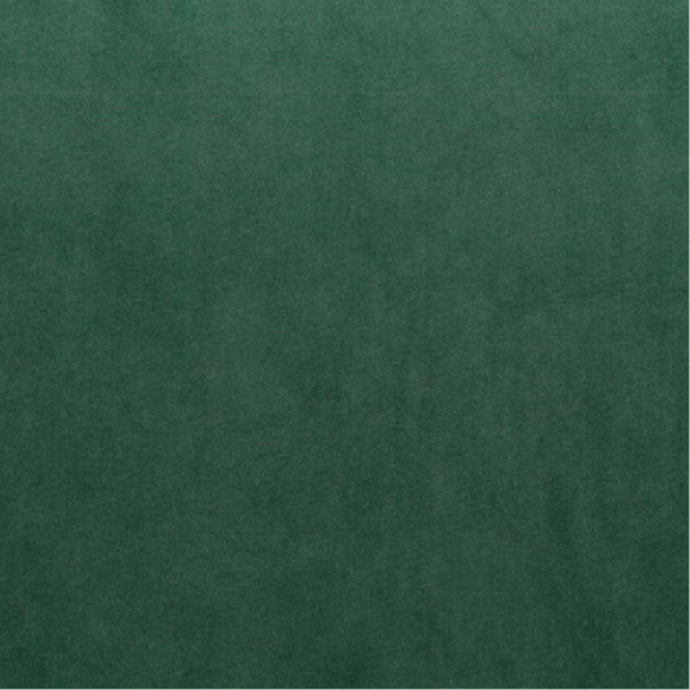 Forest - Cleo By Warwick || In Stitches Soft Furnishings