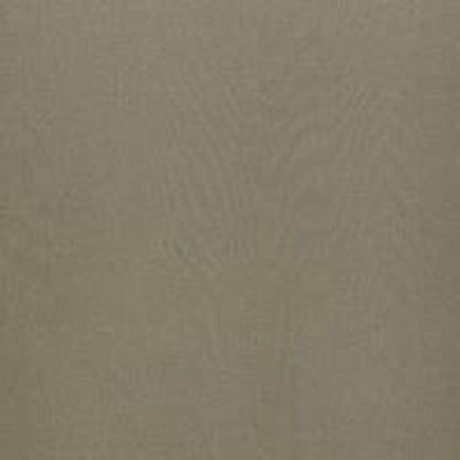 Putty - Dune By ILIV || In Stitches Soft Furnishings