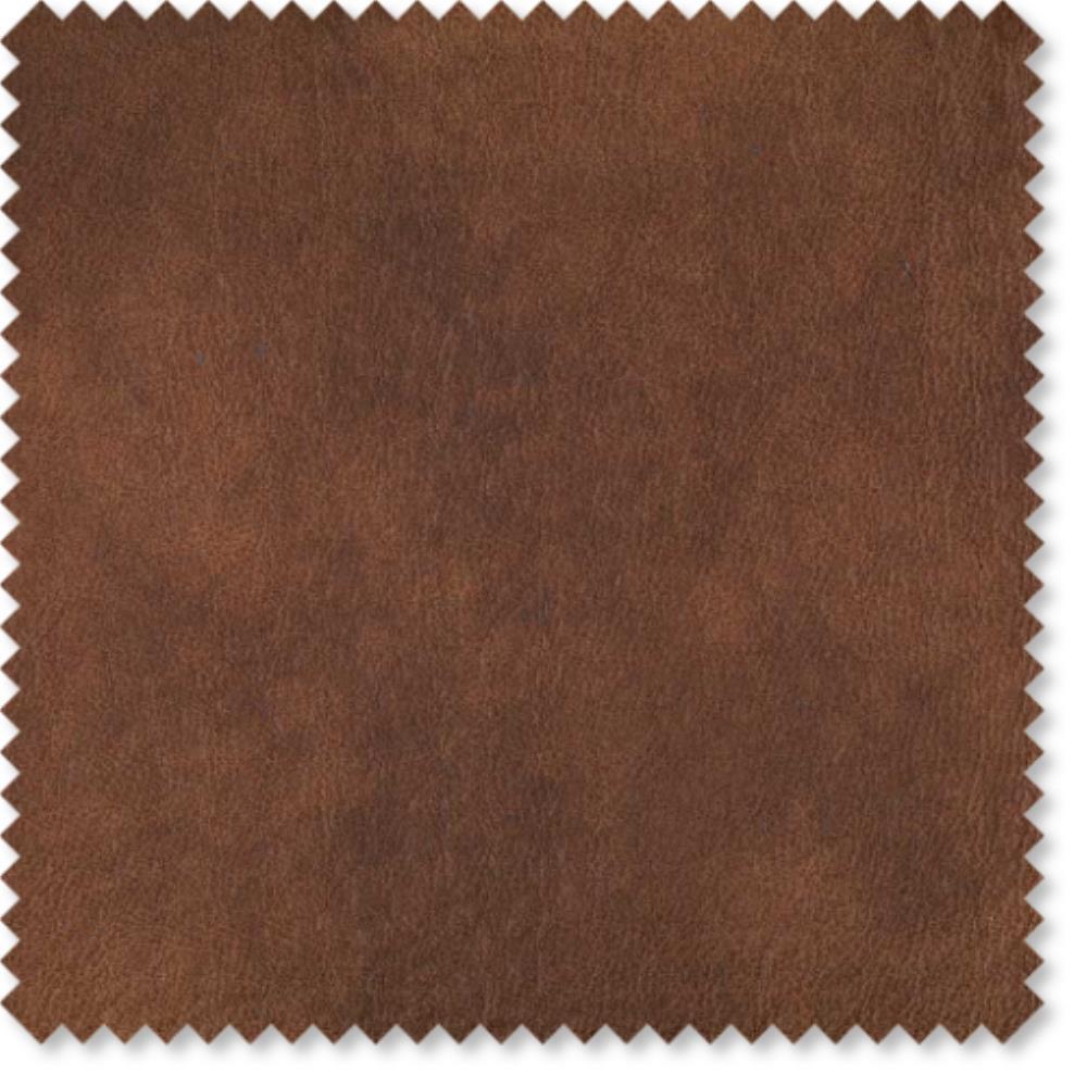 Bison - Eastwood By Warwick || In Stitches Soft Furnishings