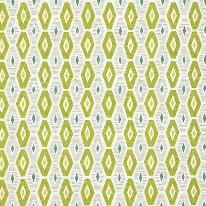 Cactus - Explore By James Dunlop Textiles || In Stitches Soft Furnishings