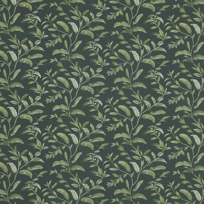 Pine - Oasis By ILIV || In Stitches Soft Furnishings