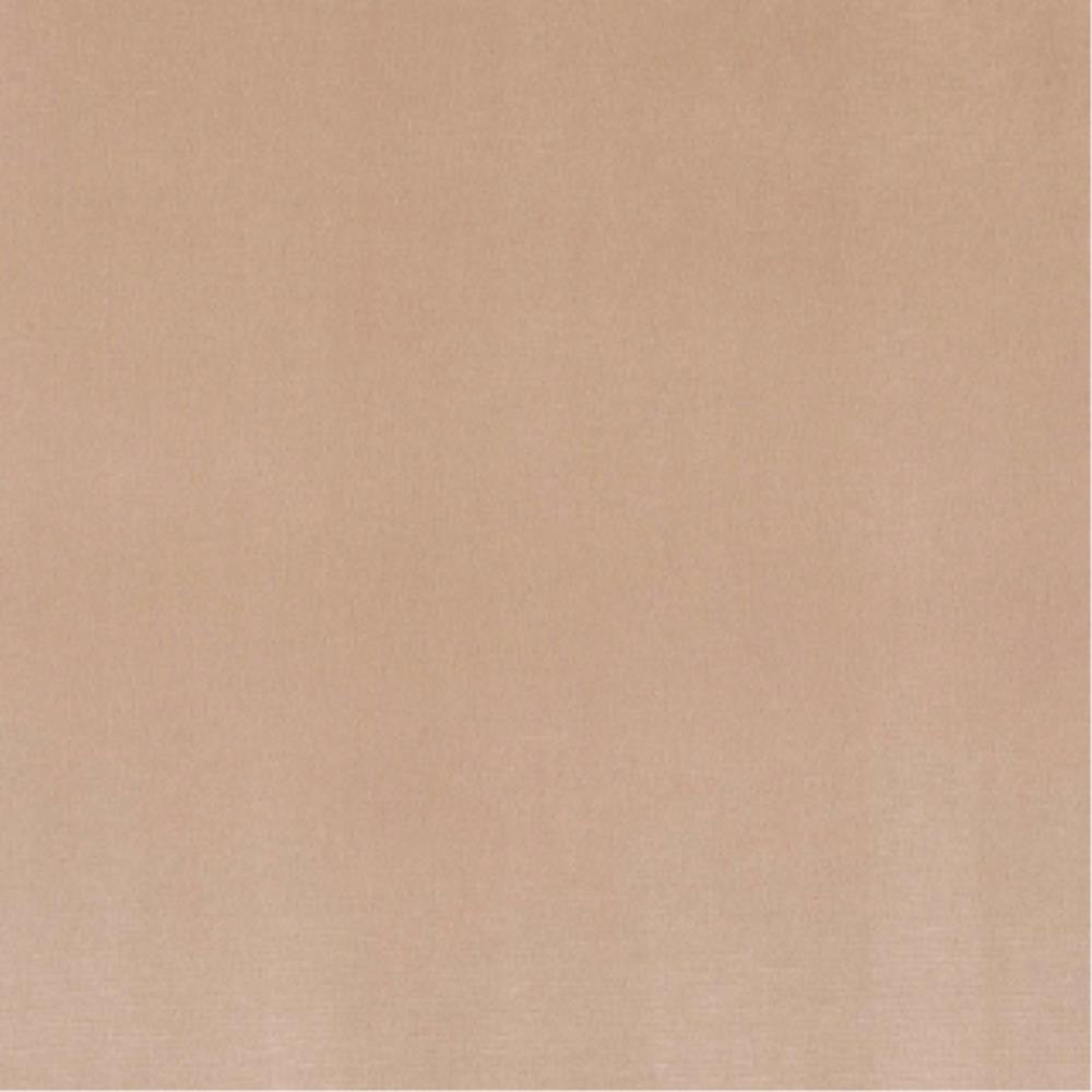 Oyster - Plush By Warwick || In Stitches Soft Furnishings